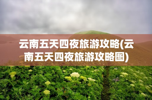 云南五天四夜旅游攻略(云南五天四夜旅游攻略图)