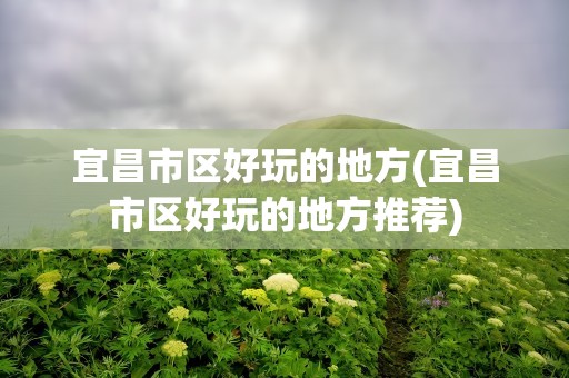 宜昌市区好玩的地方(宜昌市区好玩的地方推荐)