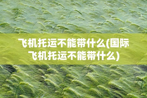 飞机托运不能带什么(国际飞机托运不能带什么)