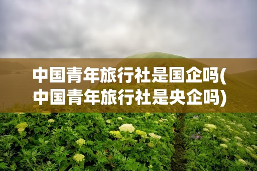 中国青年旅行社是国企吗(中国青年旅行社是央企吗)