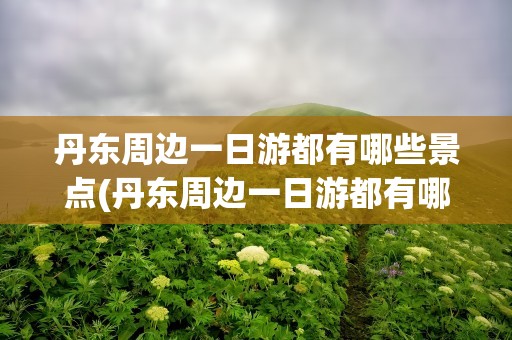 丹东周边一日游都有哪些景点(丹东周边一日游都有哪些景点好玩)