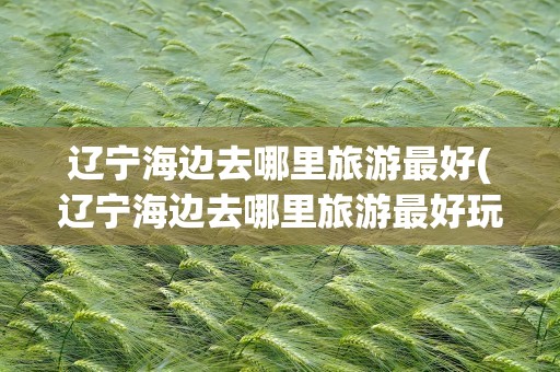 辽宁海边去哪里旅游最好(辽宁海边去哪里旅游最好玩)