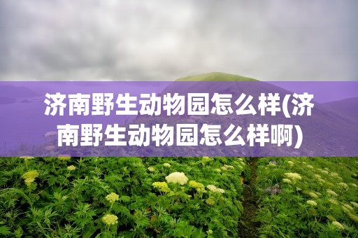 济南野生动物园怎么样(济南野生动物园怎么样啊)