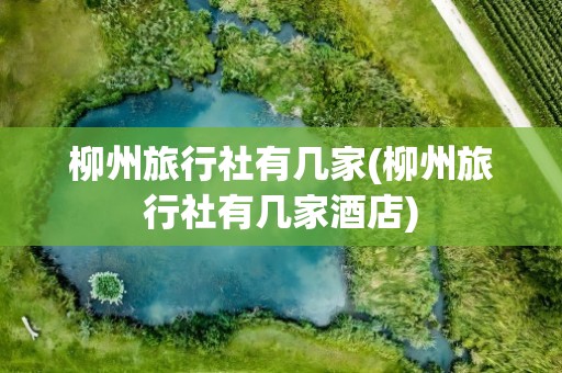 柳州旅行社有几家(柳州旅行社有几家酒店)