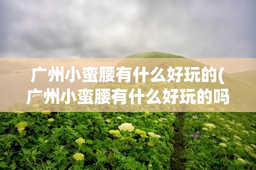 广州小蛮腰有什么好玩的(广州小蛮腰有什么好玩的吗)