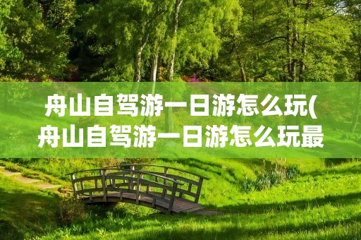 舟山自驾游一日游怎么玩(舟山自驾游一日游怎么玩最好)
