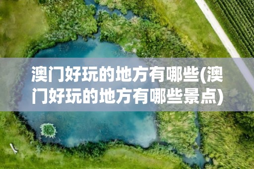 澳门好玩的地方有哪些(澳门好玩的地方有哪些景点)