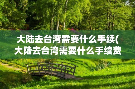 大陆去台湾需要什么手续(大陆去台湾需要什么手续费吗)