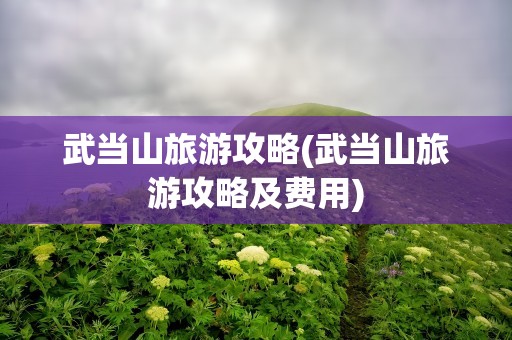 武当山旅游攻略(武当山旅游攻略及费用)