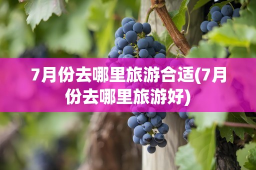 7月份去哪里旅游合适(7月份去哪里旅游好)