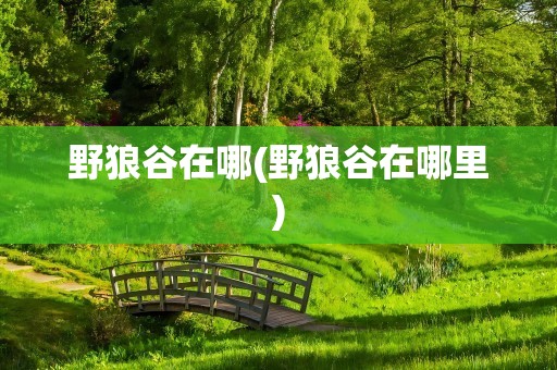 野狼谷在哪(野狼谷在哪里)
