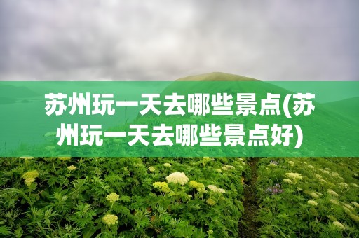 苏州玩一天去哪些景点(苏州玩一天去哪些景点好)