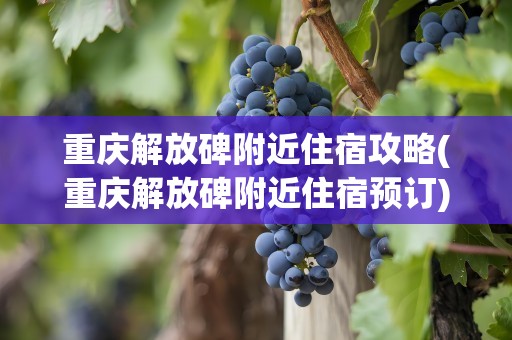 重庆解放碑附近住宿攻略(重庆解放碑附近住宿预订)
