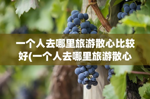 一个人去哪里旅游散心比较好(一个人去哪里旅游散心比较好广东)