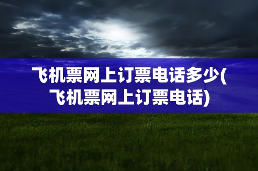 飞机票网上订票电话多少(飞机票网上订票电话)