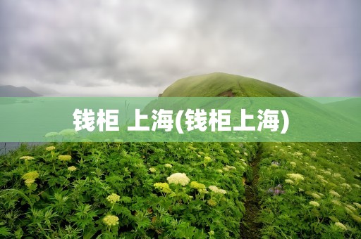 钱柜 上海(钱柜上海)