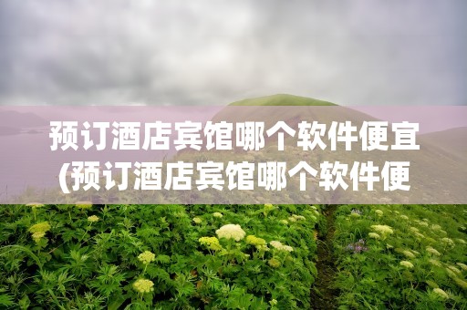 预订酒店宾馆哪个软件便宜(预订酒店宾馆哪个软件便宜点)