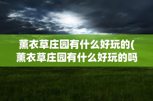 薰衣草庄园有什么好玩的(薰衣草庄园有什么好玩的吗)