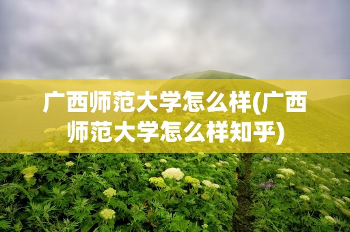 广西师范大学怎么样(广西师范大学怎么样知乎)