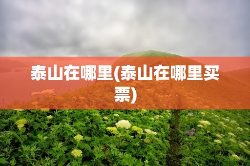 泰山在哪里(泰山在哪里买票)