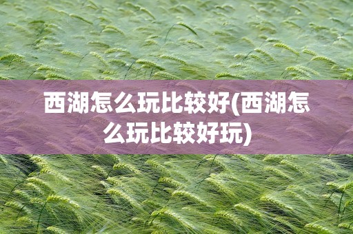 西湖怎么玩比较好(西湖怎么玩比较好玩)