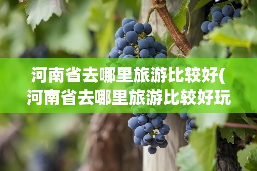 河南省去哪里旅游比较好(河南省去哪里旅游比较好玩)