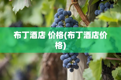 布丁酒店 价格(布丁酒店价格)