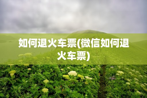 如何退火车票(微信如何退火车票)