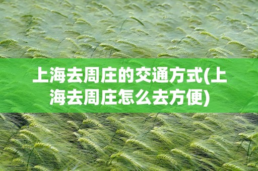 上海去周庄的交通方式(上海去周庄怎么去方便)