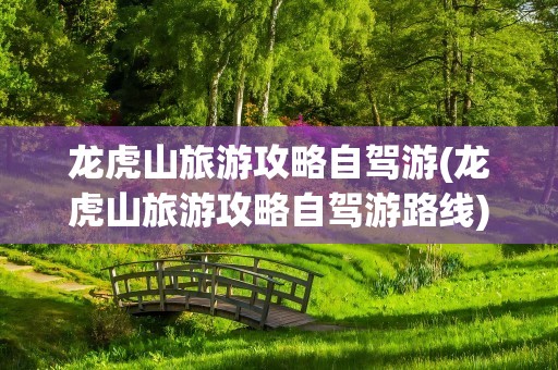 龙虎山旅游攻略自驾游(龙虎山旅游攻略自驾游路线)