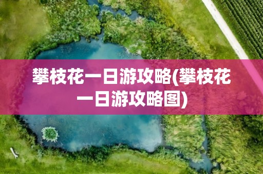 攀枝花一日游攻略(攀枝花一日游攻略图)