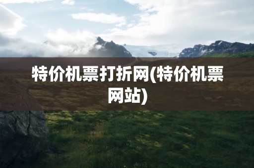 特价机票打折网(特价机票网站)