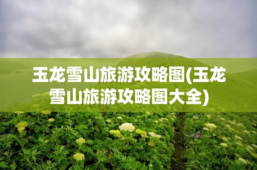 玉龙雪山旅游攻略图(玉龙雪山旅游攻略图大全)