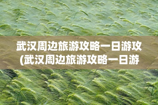 武汉周边旅游攻略一日游攻(武汉周边旅游攻略一日游攻略图)