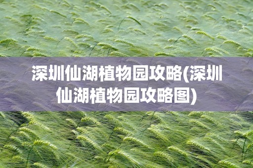 深圳仙湖植物园攻略(深圳仙湖植物园攻略图)