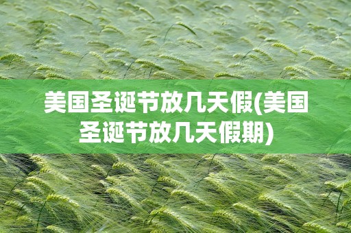 美国圣诞节放几天假(美国圣诞节放几天假期)