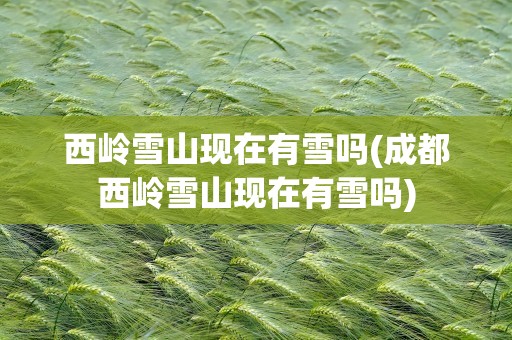 西岭雪山现在有雪吗(成都西岭雪山现在有雪吗)