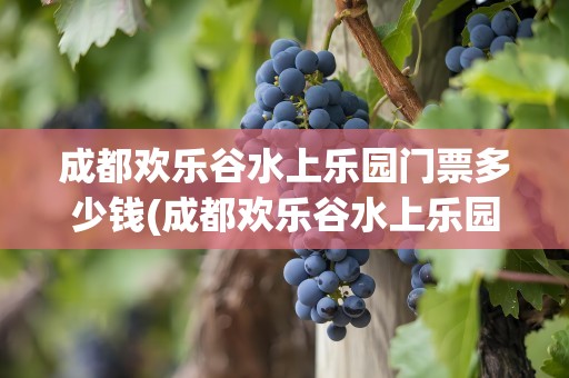 成都欢乐谷水上乐园门票多少钱(成都欢乐谷水上乐园门票多少钱一张)