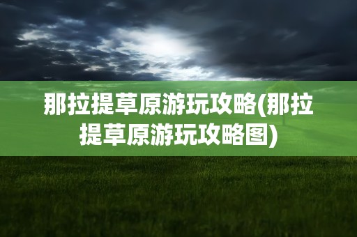 那拉提草原游玩攻略(那拉提草原游玩攻略图)