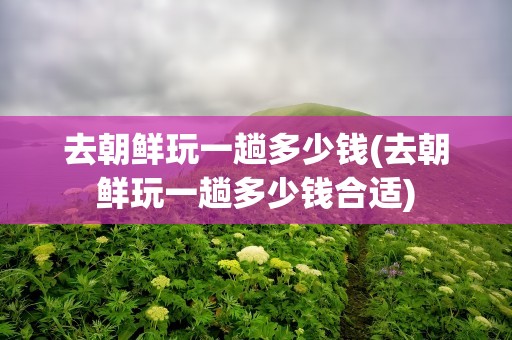 去朝鲜玩一趟多少钱(去朝鲜玩一趟多少钱合适)