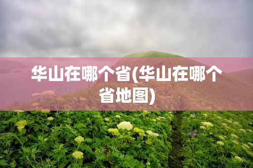 华山在哪个省(华山在哪个省地图)