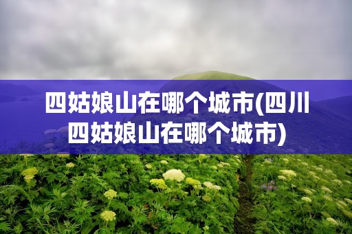 四姑娘山在哪个城市(四川四姑娘山在哪个城市)
