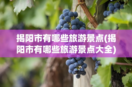 揭阳市有哪些旅游景点(揭阳市有哪些旅游景点大全)