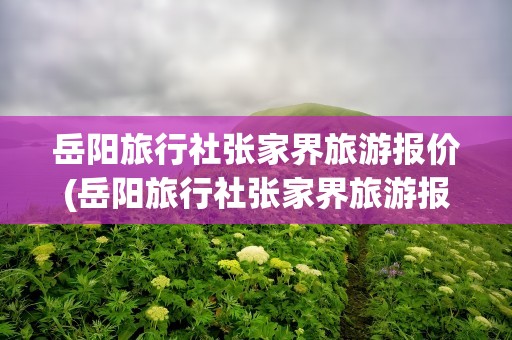岳阳旅行社张家界旅游报价(岳阳旅行社张家界旅游报价9)