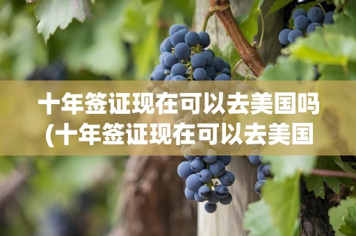 十年签证现在可以去美国吗(十年签证现在可以去美国吗知乎)