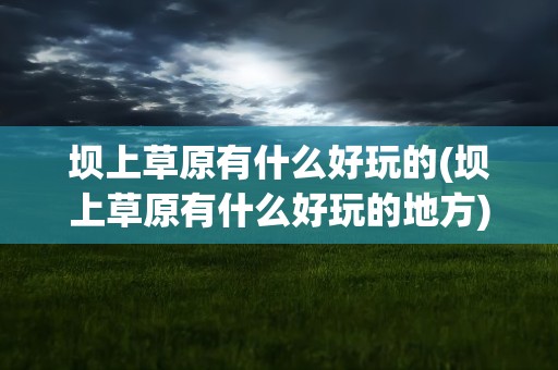 坝上草原有什么好玩的(坝上草原有什么好玩的地方)