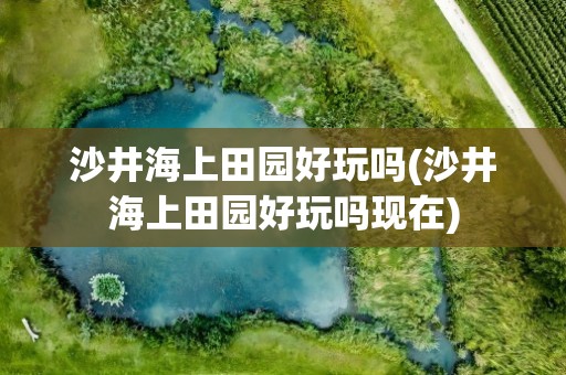 沙井海上田园好玩吗(沙井海上田园好玩吗现在)