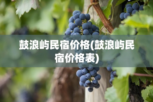 鼓浪屿民宿价格(鼓浪屿民宿价格表)
