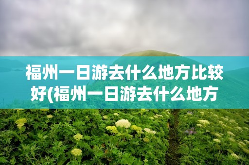 福州一日游去什么地方比较好(福州一日游去什么地方比较好玩)