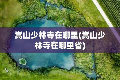 嵩山少林寺在哪里(嵩山少林寺在哪里省)